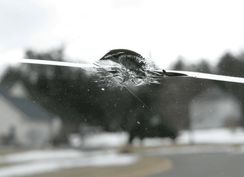 auto glass repair, windshield replacement expert